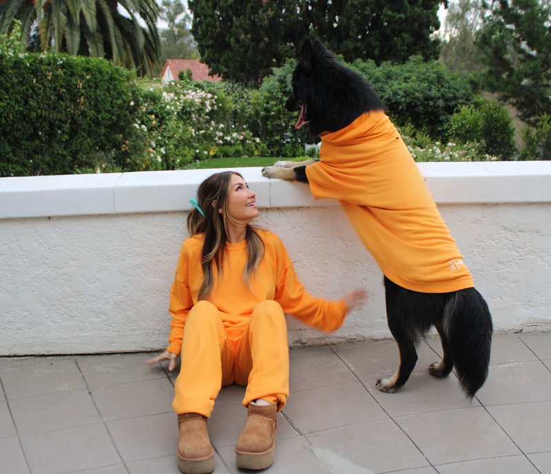 Solid Orange Dog Hoodie